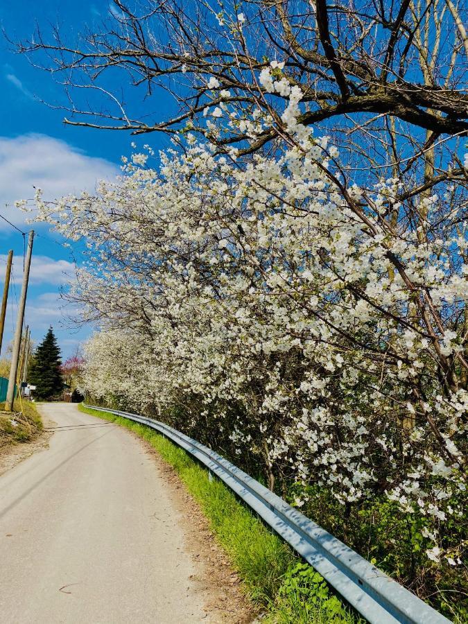 B&B Nido Sui Laghi San Donnino della Nizzola ภายนอก รูปภาพ